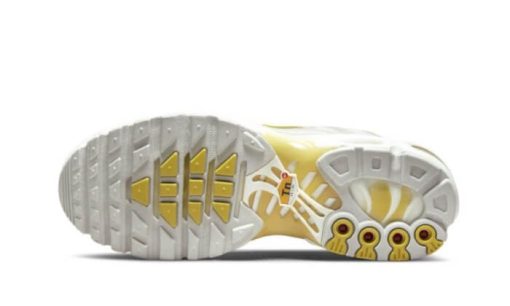 Summit White Celery - immagine 6