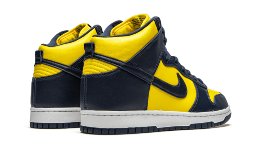 Maize & Blue (Michigan) - immagine 6