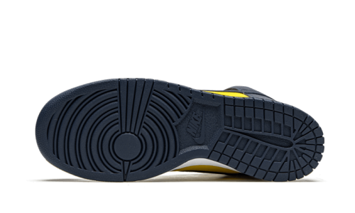 Maize & Blue (Michigan) - immagine 8